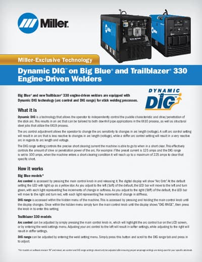 Dynamic DIG Flyer