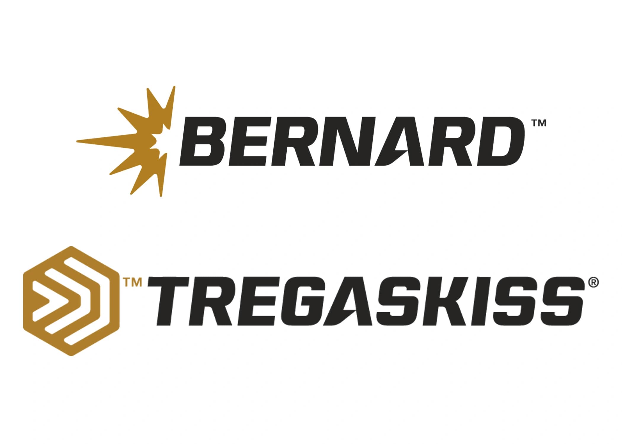 Bernard Tregaskiss Logo